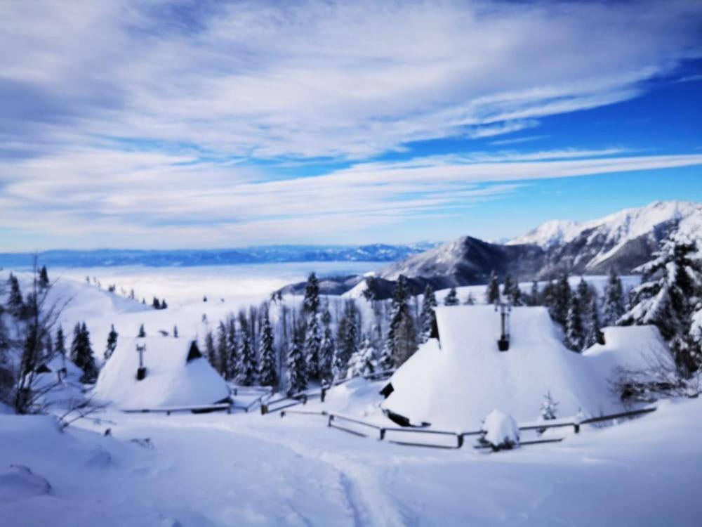 Chalet Zlatica Velika Planina Stahovica Exterior foto